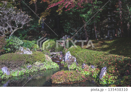 Nov 23 2025 Serene Fish Pond at Jakko in Temple Kyoto Nov 23 2025 Serene Fish Pond at Jakko in Temple Kyoto 135438310