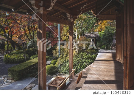 Nov 23 2025 Historic Jakko in Temple Amid Scenic Kyoto Mountains 135438316