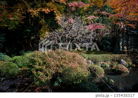 Nov 23 2025 Zen Garden at Jakko in Temple in Kyoto 135438317