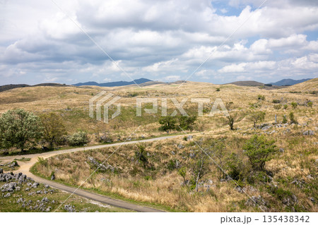 秋吉台の草原の広大な景色 135438342