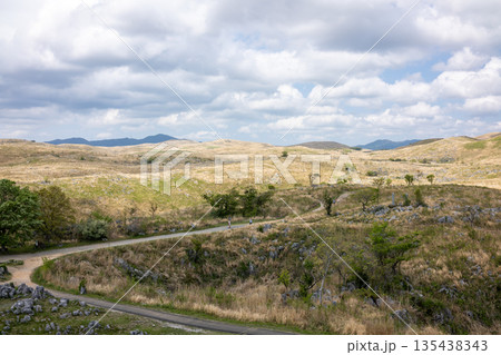 秋吉台の草原の広大な景色 135438343