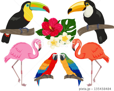 トロピカルバードのセット 135438484