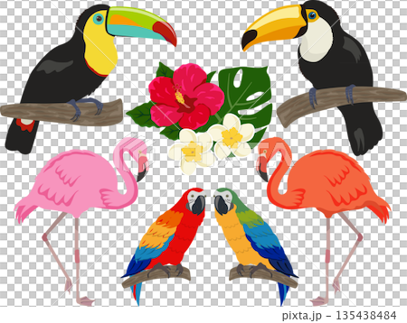 Tropical Bird Set 135438484