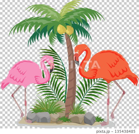 Flamingos and palm trees 135438485