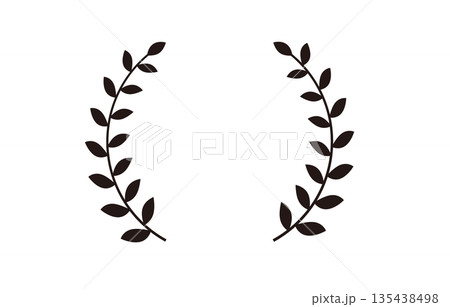 月桂樹　植物　フレーム 135438498