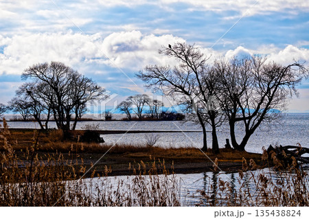 冬の湖面 135438824