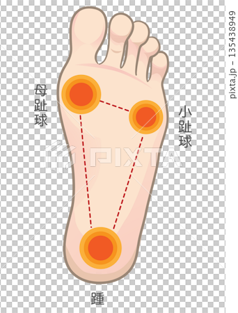 腳底的接觸面 腳底的接觸面 135438949