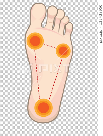 腳底的接觸面 135438950