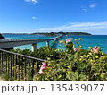 花咲く海辺から望む角島大橋と青い海の絶景 135439077