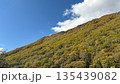 秋色に染まる山の斜面と青空 135439082