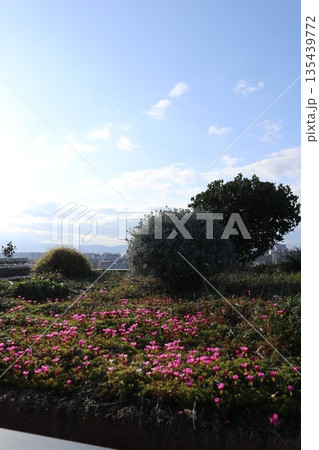 2024年・福岡・福岡市・風景・博多区博多駅中央街・博多駅・其の十七 2024年・福岡・福岡市・風景・博多区博多駅中央街・博多駅・其の十七 135439772