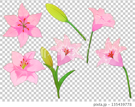 粉紅色百合花布料 135439778