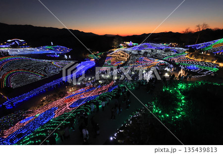 国営讃岐まんのう公園の竜頭の里のイルミネーション。（冬季） 135439813