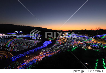 国営讃岐まんのう公園の竜頭の里のイルミネーション。（冬季） 135439821