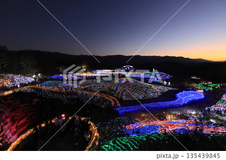 国営讃岐まんのう公園の竜頭の里のイルミネーション。（冬季） 135439845