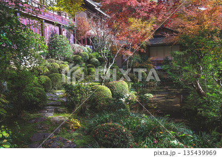 Nov 23 2025 Zen Garden at Jakko in Temple in Kyoto 135439969