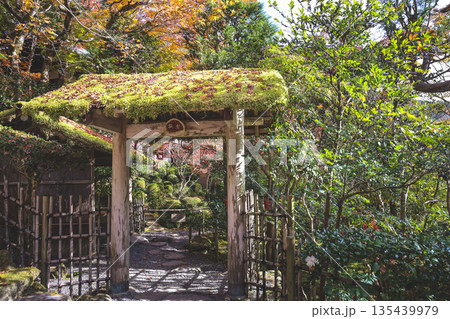 Nov 23 2025 Zen Garden at Jakko in Temple in Kyoto 135439979