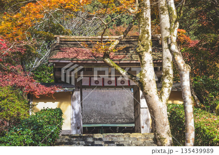 Nov 23 2025 Historic Jakko in Temple Amid Scenic Kyoto Mountains Nov 23 2025 Historic Jakko in Temple Amid Scenic Kyoto Mountains 135439989