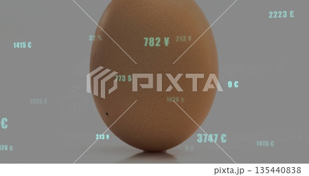 Standing brown egg reflecting on smooth gray studio surface, drifting yen cent pound numeric values 135440838