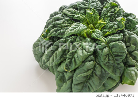 ちぢみほうれん草　寒締めホウレンソウ　白バック 135440973