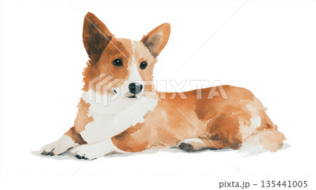 犬の水彩イラスト 犬の水彩イラスト 135441005