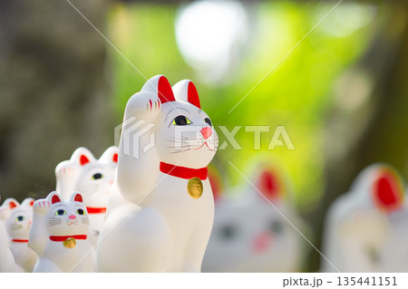 招き猫 135441151