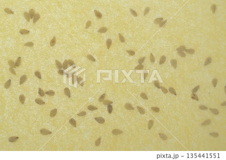 和紙と白胡麻のコラボ【背景素材】 135441551