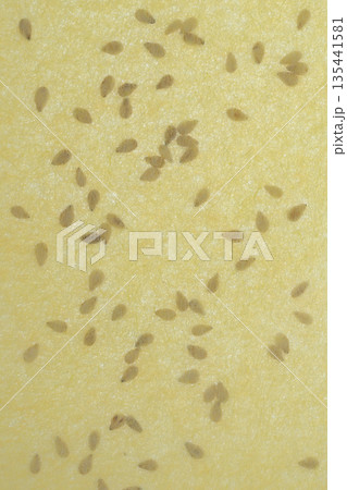 和紙と白胡麻のコラボ【背景素材】 135441581