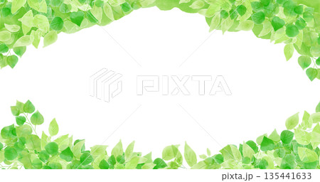 背景用植物テクスチャ 新緑の水彩イラスト 背景用植物テクスチャ 新緑の水彩イラスト 135441633