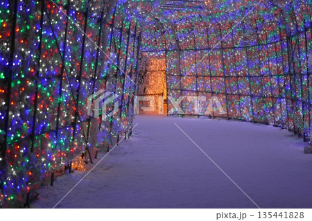 カラフルなイルミネーション カラフルなイルミネーション 135441828