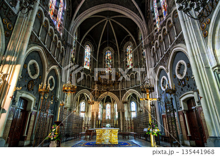 Interior of the Basilica in the Sanctuary of Lourdes, France. 135441968