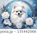 冬の花フレームの白いポメラニアン 135442066