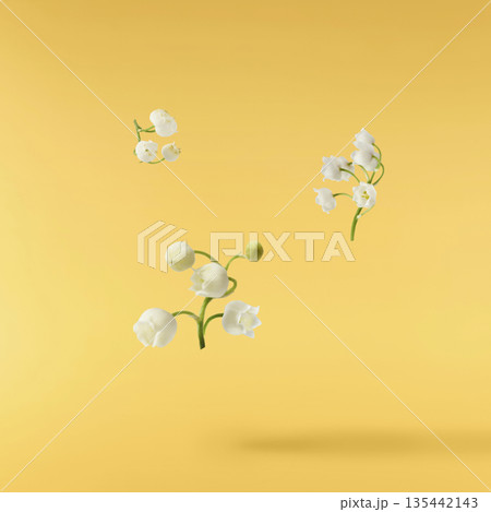 Beautiful Snowdrop flower falling in the air isolated Beautiful Snowdrop flower falling in the air isolated 135442143