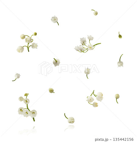 Beautiful Snowdrop flower falling in the air isolated Beautiful Snowdrop flower falling in the air isolated 135442156