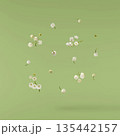 Beautiful Snowdrop flower falling in the air isolated  135442157