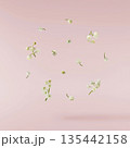 Beautiful Snowdrop flower falling in the air isolated  135442158