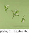 Beautiful Snowdrop flower falling in the air isolated  135442160