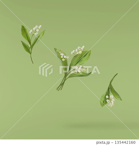 Beautiful Snowdrop flower falling in the air isolated Beautiful Snowdrop flower falling in the air isolated 135442160