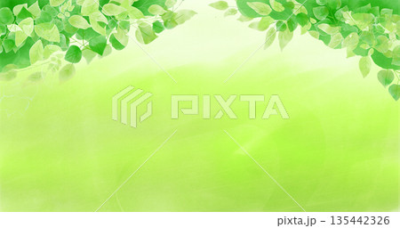 水彩で描いた新緑の背景イラスト 135442326