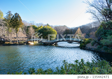 冬の薬師池公園の風景 135442471