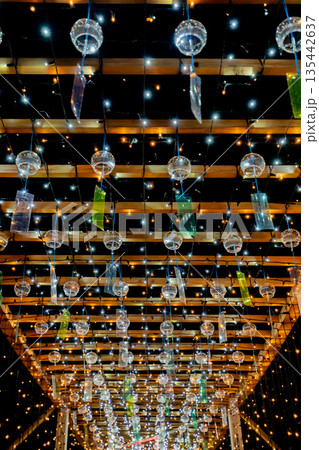 【愛知県飛島村】とびしま宵あかり　風鈴とイルミネーションの絶景 135442637