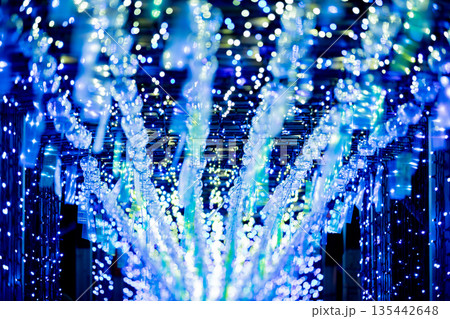 【愛知県飛島村】とびしま宵あかり 風鈴とイルミネーションの絶景 【愛知県飛島村】とびしま宵あかり 風鈴とイルミネーションの絶景 135442648