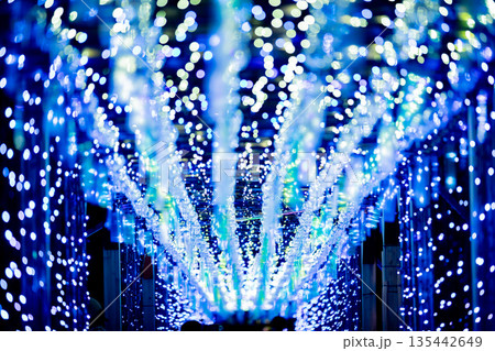 【愛知県飛島村】とびしま宵あかり　風鈴とイルミネーションの絶景 135442649