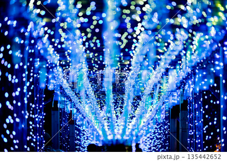 【愛知県飛島村】とびしま宵あかり　風鈴とイルミネーションの絶景 135442652