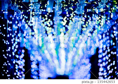 【愛知県飛島村】とびしま宵あかり　風鈴とイルミネーションの絶景 135442653