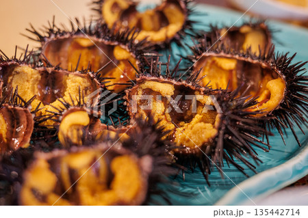 キタムラサキウニアップ(青森県八戸市) キタムラサキウニアップ(青森県八戸市) 135442714