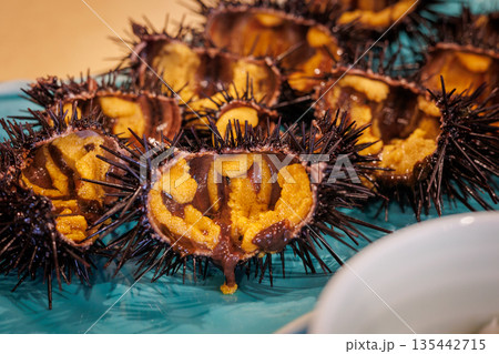 キタムラサキウニアップ（青森県八戸市） 135442715