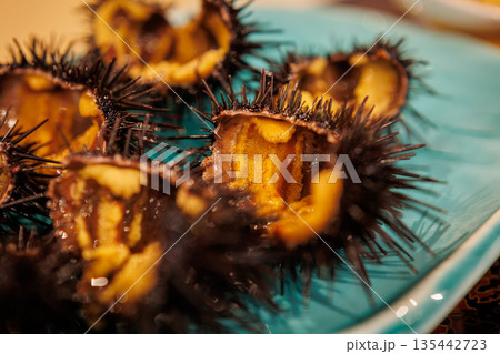 キタムラサキウニアップ（青森県八戸市） 135442723