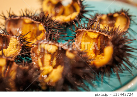 キタムラサキウニアップ(青森県八戸市) キタムラサキウニアップ(青森県八戸市) 135442724