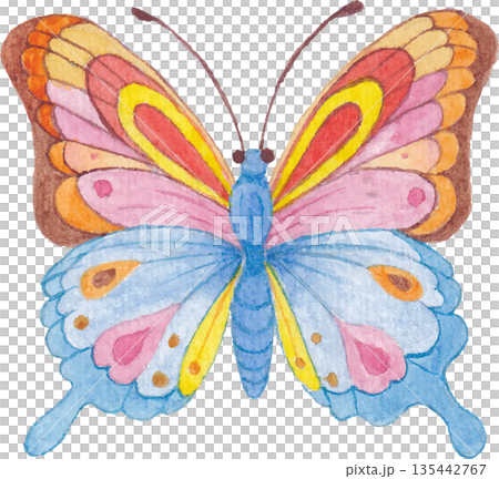 Butterfly Watercolor Illustration Cute Animal Art Butterfly Watercolor Illustration Cute Animal Art 135442767